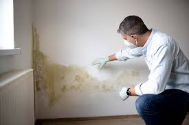 Best Basement Mold Removal  in Carthage, TN